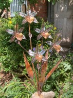 b. 5 Headed Orchid.jpg